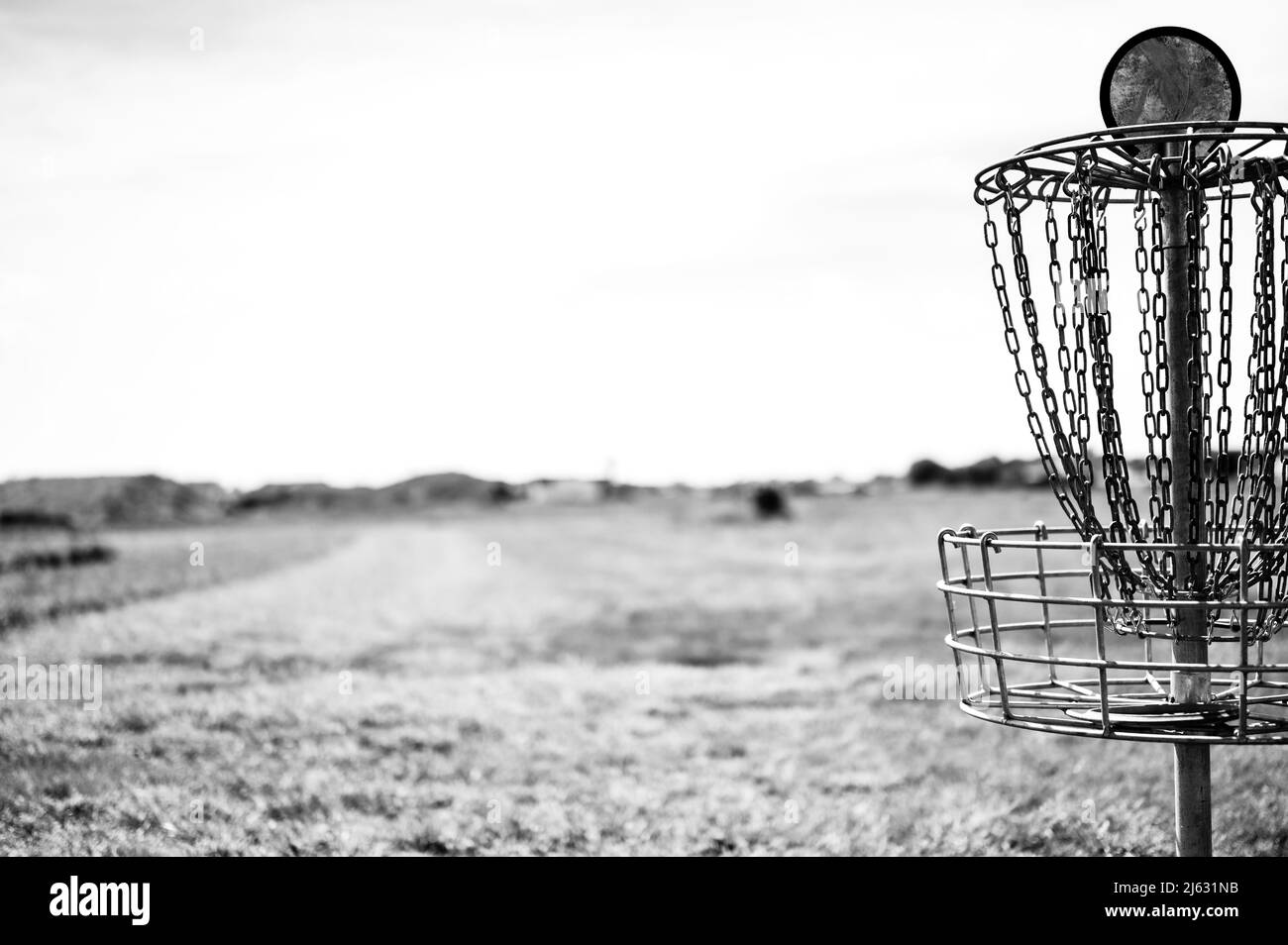 Disco golf catene obiettivo swaying delicatamente nella brezza con un campo verde in background Foto Stock