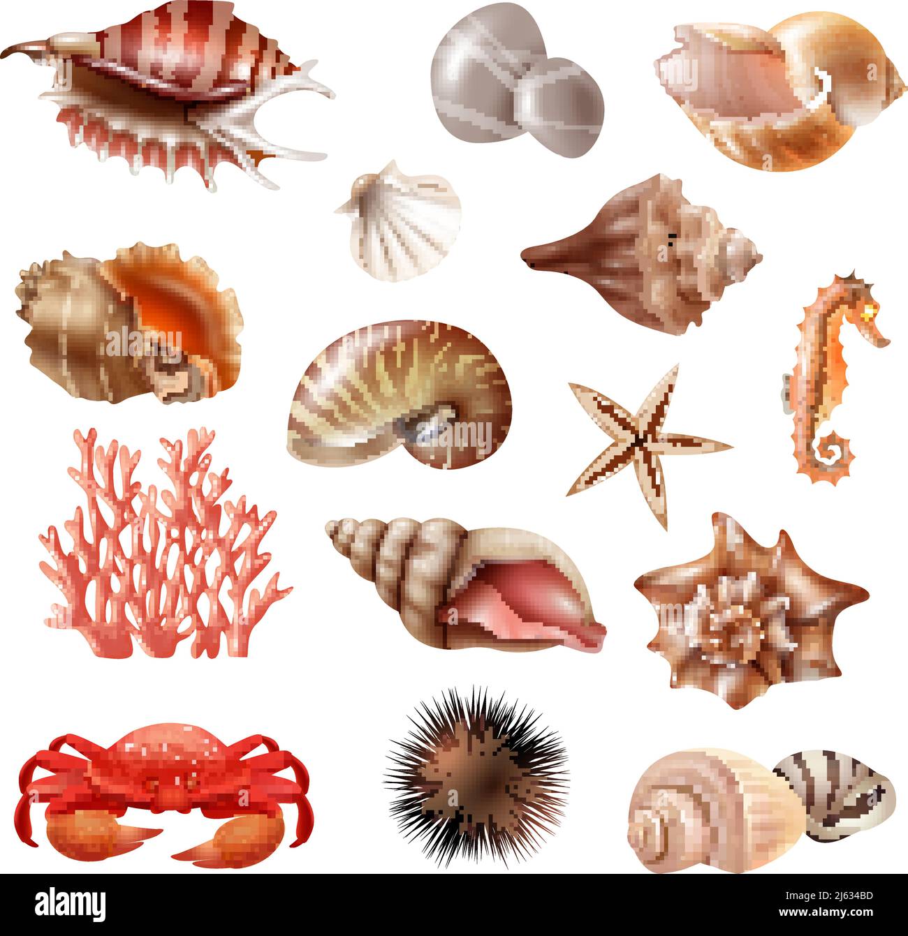Insieme realistico di diverse belle conchiglie e altri animali marini isolato su sfondo bianco illustrazione vettoriale Illustrazione Vettoriale
