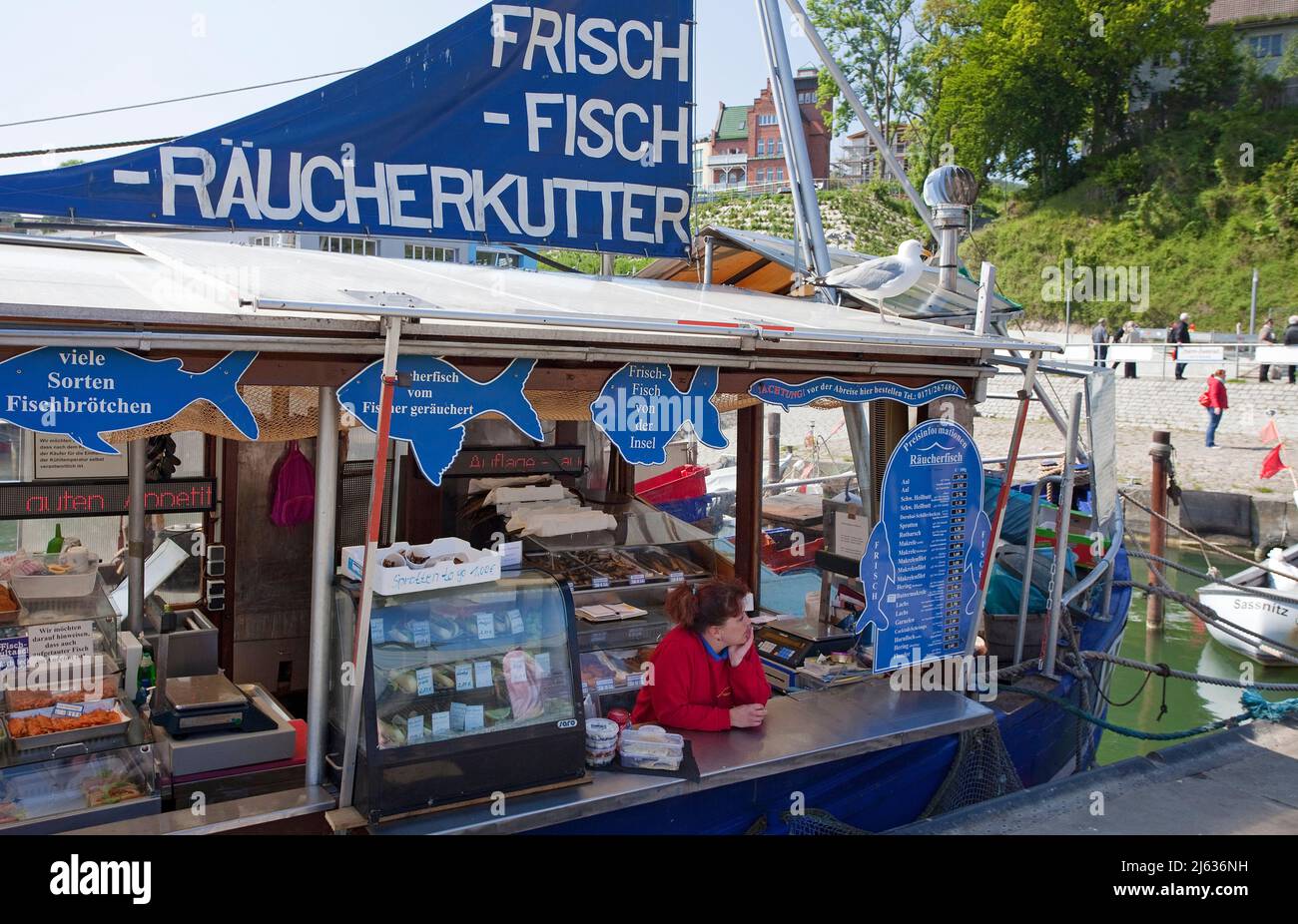 Panino di pesce, peschereccio da traino Fischland, porto di Sassnitz, isola di Ruegen, Meclemburgo-Pomerania occidentale, Mar Baltico, Germania Foto Stock