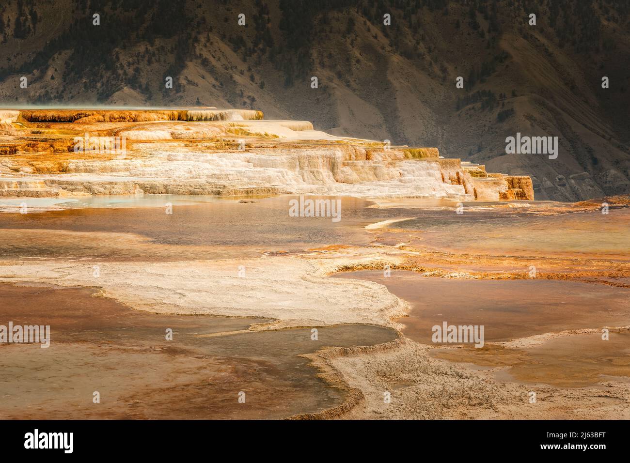 Le terrazze di Mammoth Hot Springs, Yellowstone National Park, Wyoming Foto Stock