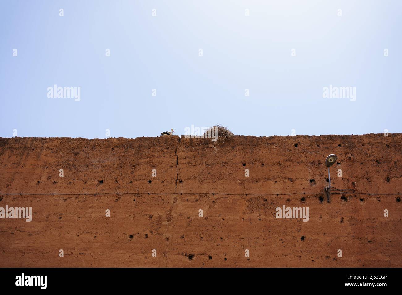 Cicogne e nidificano sulle mura della città vecchia di Marrakech, Marocco, Medina. Foto di alta qualità Foto Stock