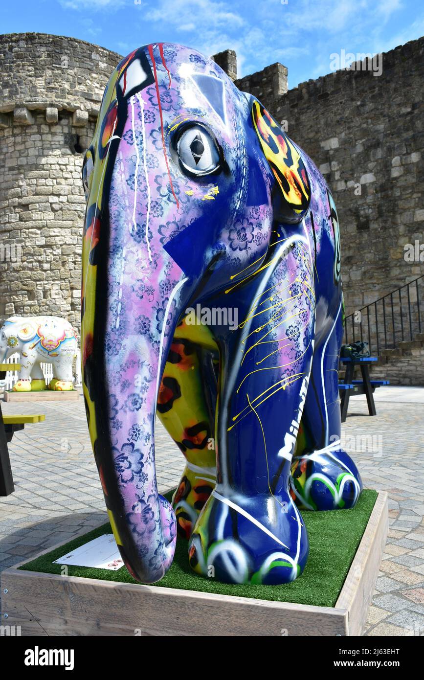 Elefanti dipinti e decorati come parte della Elephant Parade 2021 all'esterno del Westquay Shopping Centre a Southampton Foto Stock
