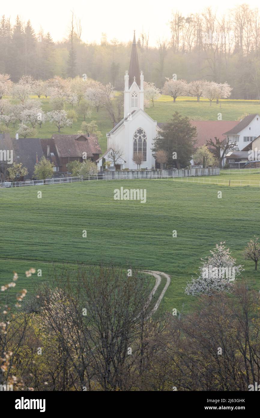 Villaggio di Oltingen con chiesa in primavera a Baselland Foto Stock