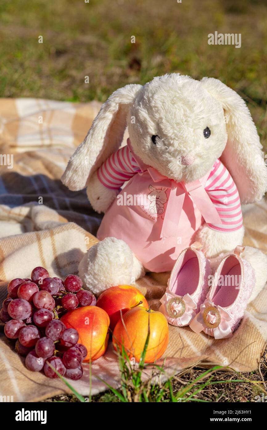 Composizione di una lepre di peluche e frutta in natura nelle giornate di sole Foto Stock