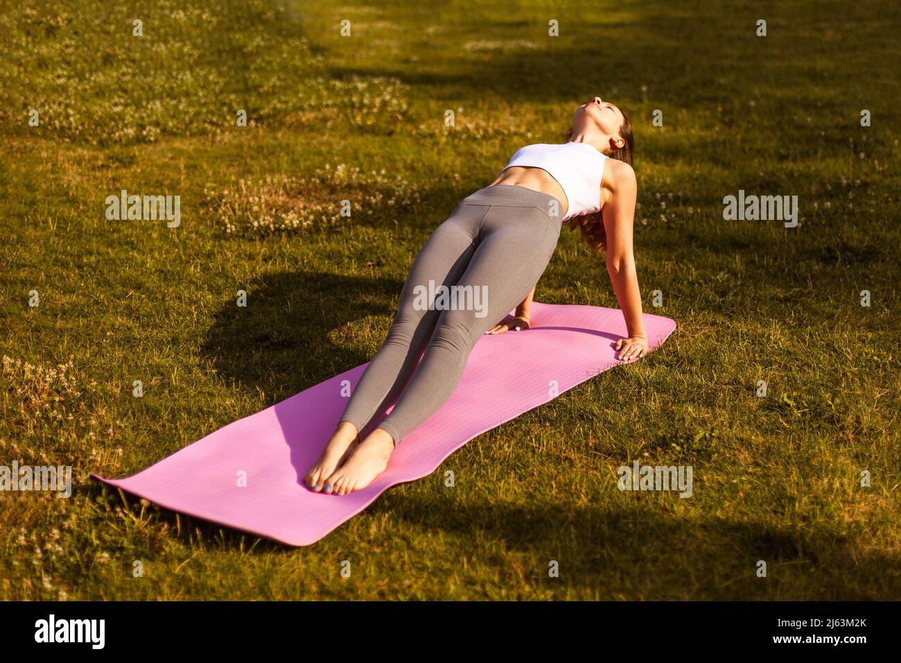 Giovane donna che pratica yoga asana. Bruna sportiva in abiti sportivi esegue l'esercizio Purvottanasana sullo sfondo del bellissimo parco estivo verde Foto Stock