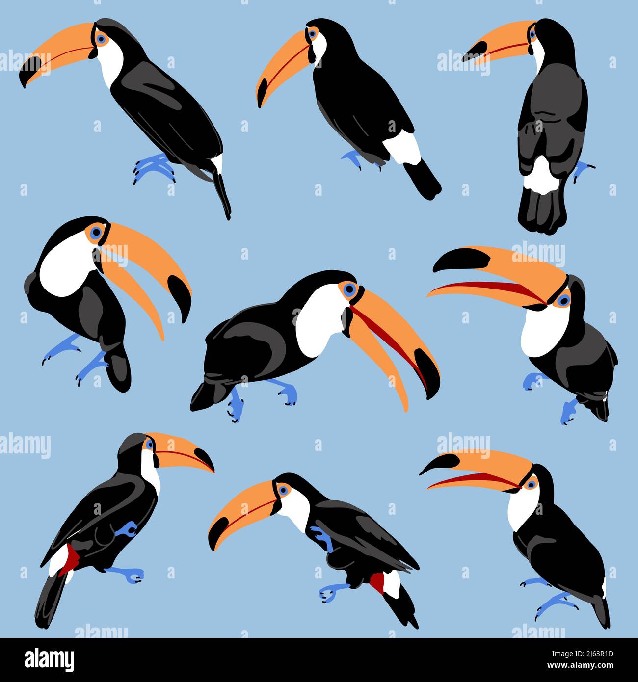 Toucans diverse pose set. Uccelli tropicali esotici di stile semplice disegnati a mano piatta. Toucan con becco grande aperto e chiuso. Illustrazione vettoriale per il design delle vacanze estive di viaggio. Illustrazione Vettoriale