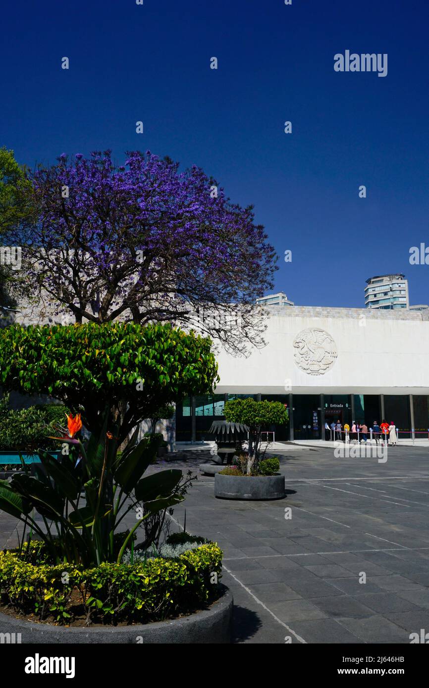 Museo Nazionale di Antropologia, Parco Chapultepec, Città del Messico, Messico Foto Stock