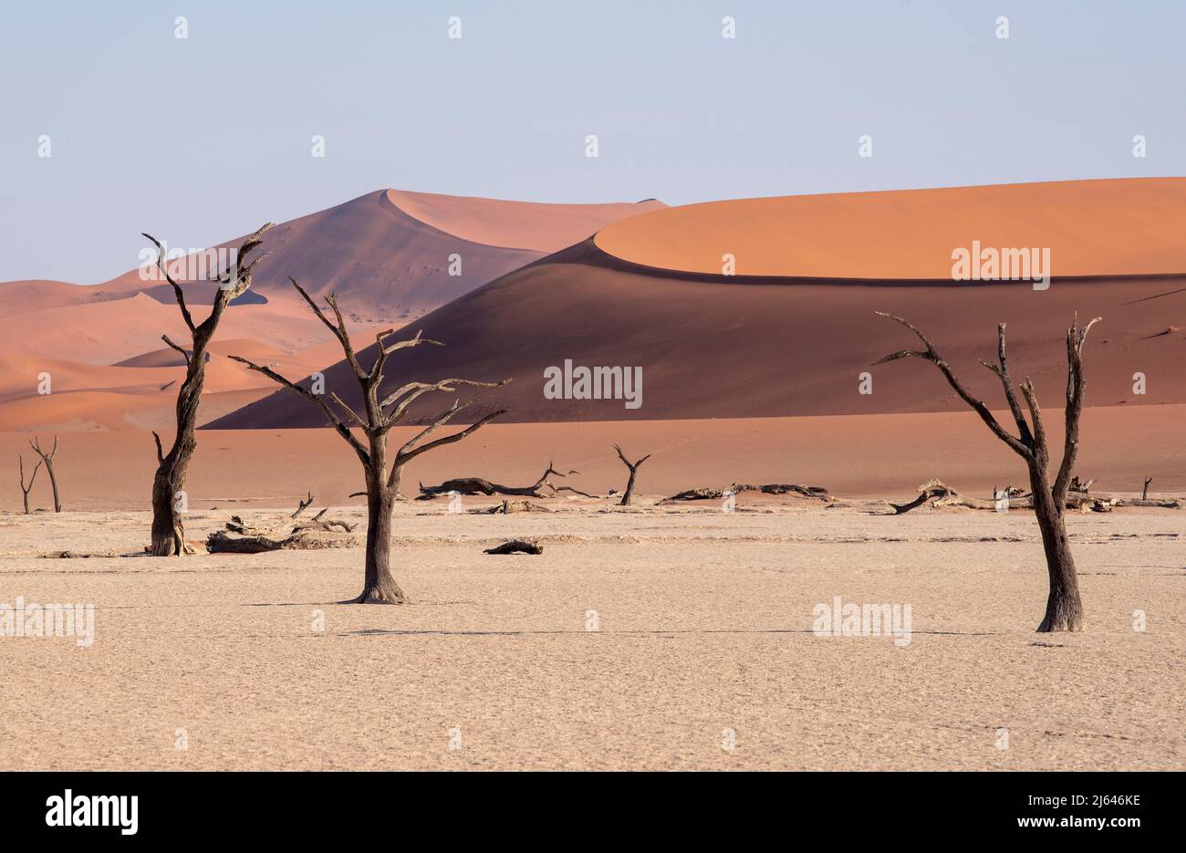 I Vlei morti nel deserto della namibia non diventano mai vecchi! Foto Stock