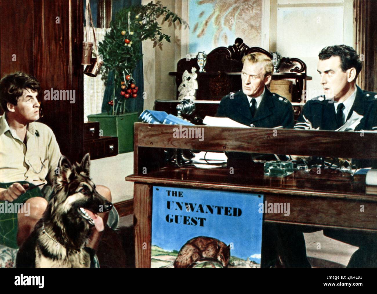 TRAVERS, JACKSON, COLE, IL PERCORSO NUZIALE, 1959 Foto Stock