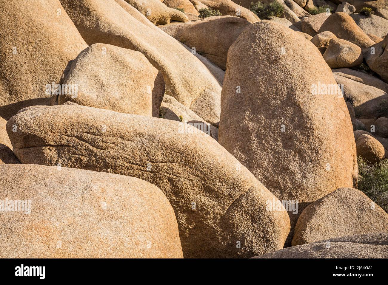 Un trambolo di massi e formazioni rocciose nel Joshua Tree National Park vicino a Skull Rock. Foto Stock