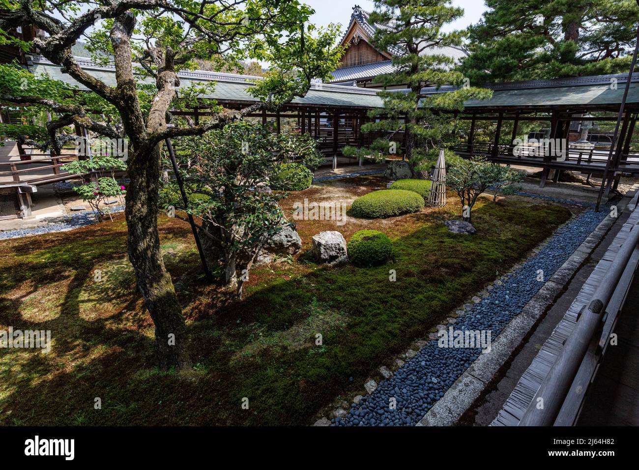 Daikakuji Gosho Corridoio di Village Rain - Daikaku-ji è spesso chiamato SaganGosho a causa della sua connessione con la famiglia imperiale come un clo imperiale Foto Stock