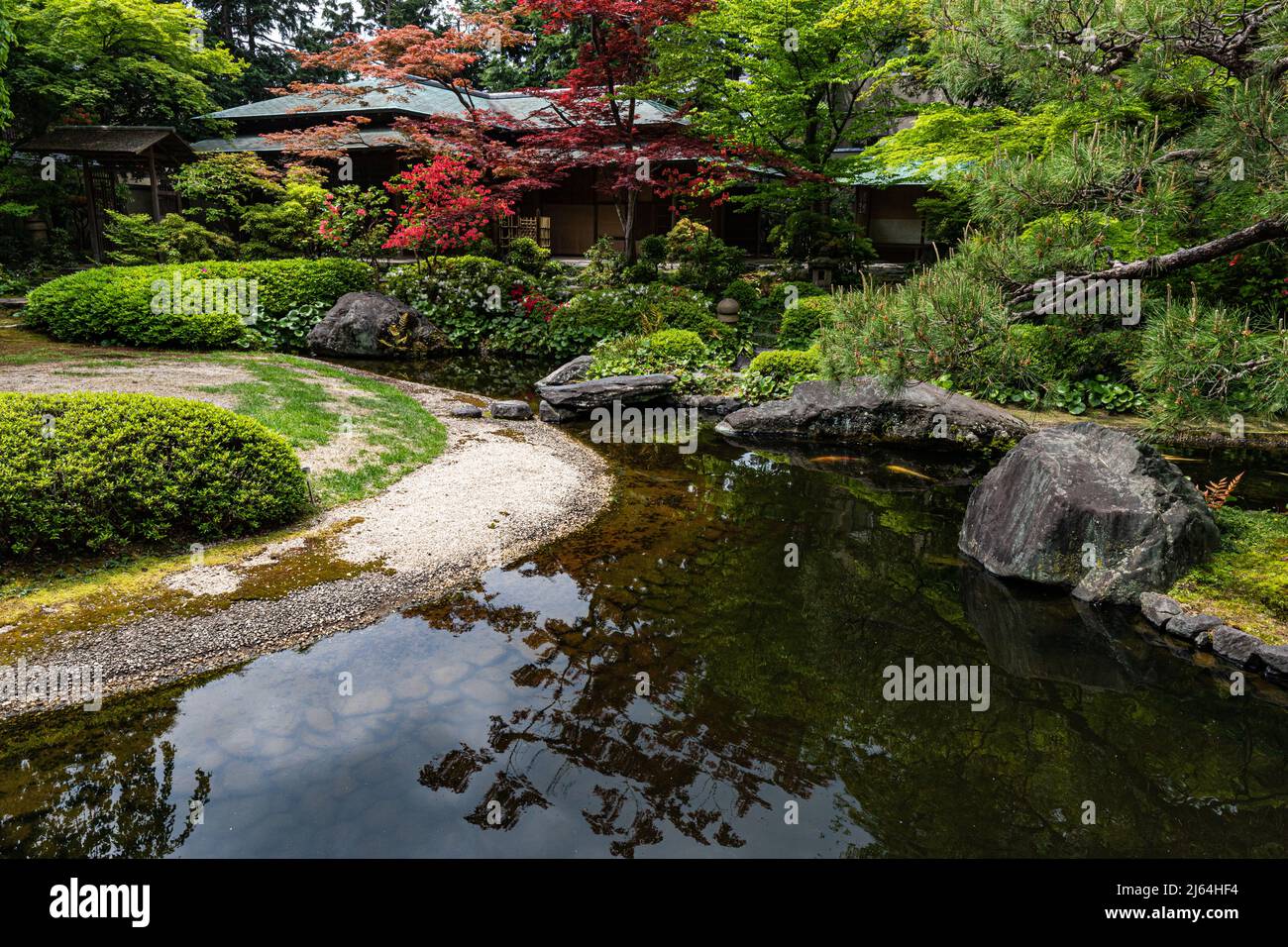 Kyoto Prefectural Guest House Garden - questo piccolo giardino è centrale intorno ad un laghetto carpe con una teahouse che si affaccia su una collina sullo sfondo. Là Foto Stock