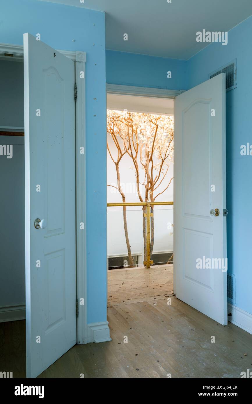 Guardando fuori da una camera blu con un albero morto che cresce all'interno di un palazzo abbandonato. Foto Stock