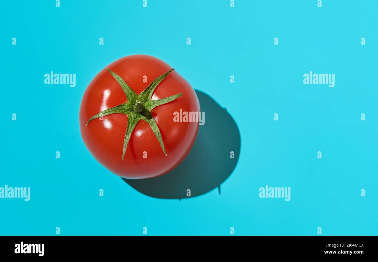 Pomodoro fresco biologico isolato su sfondo blu con un'ombra profonda. Primo piano, vista dall'alto, spazio di copia. Foto Stock