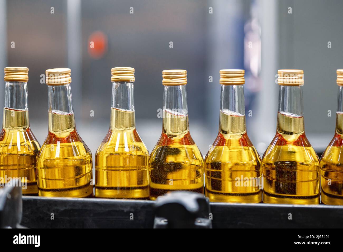 Bottiglie di alcol dorato con tappi trasportati dal trasportatore Foto Stock