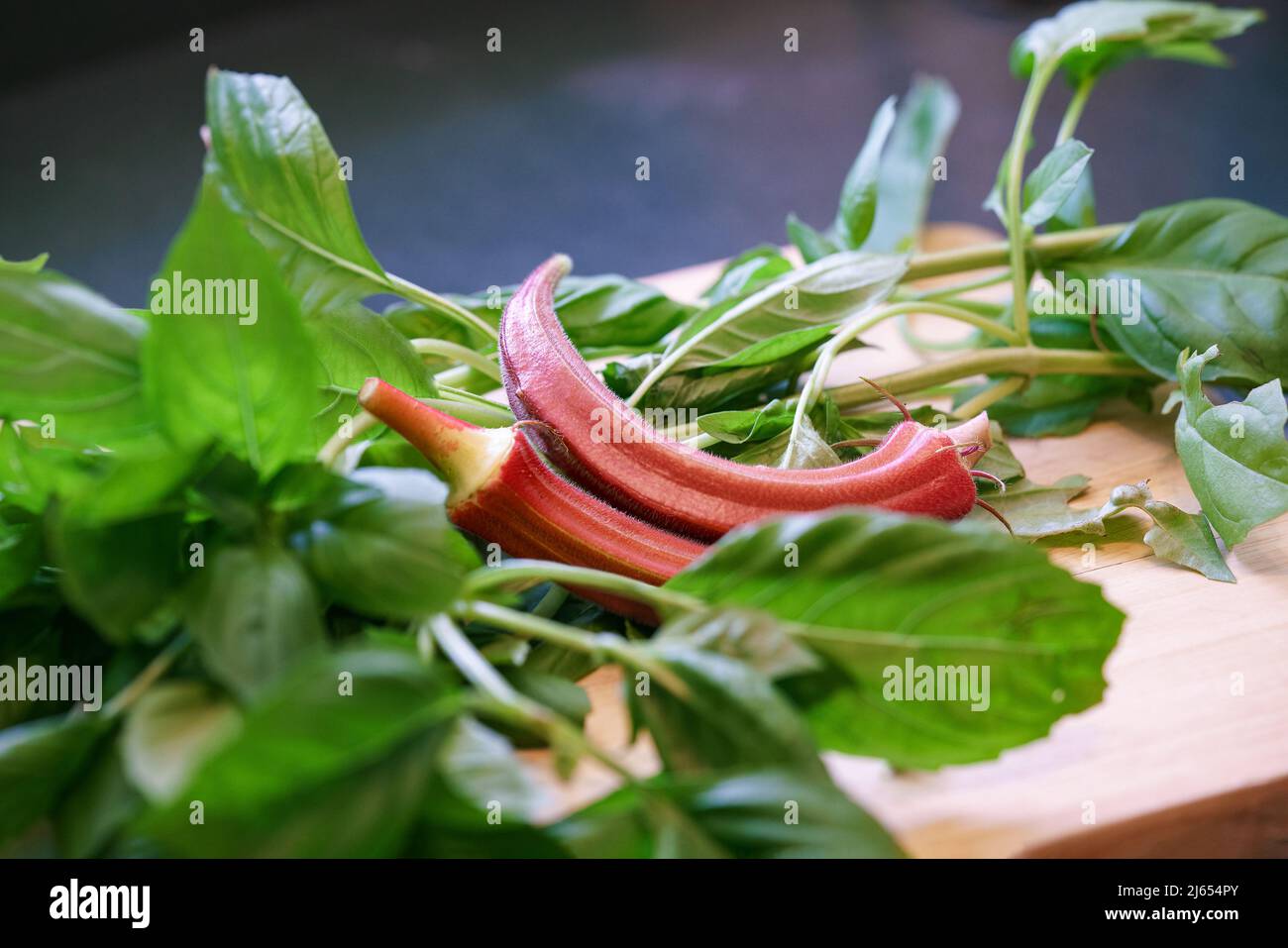 Verdure e erbe fresche coltivate in casa, bacini di okra all'arancia Jing, abelmoschus esculentus, chiamati anche dita della donna, e basilico fresco Foto Stock