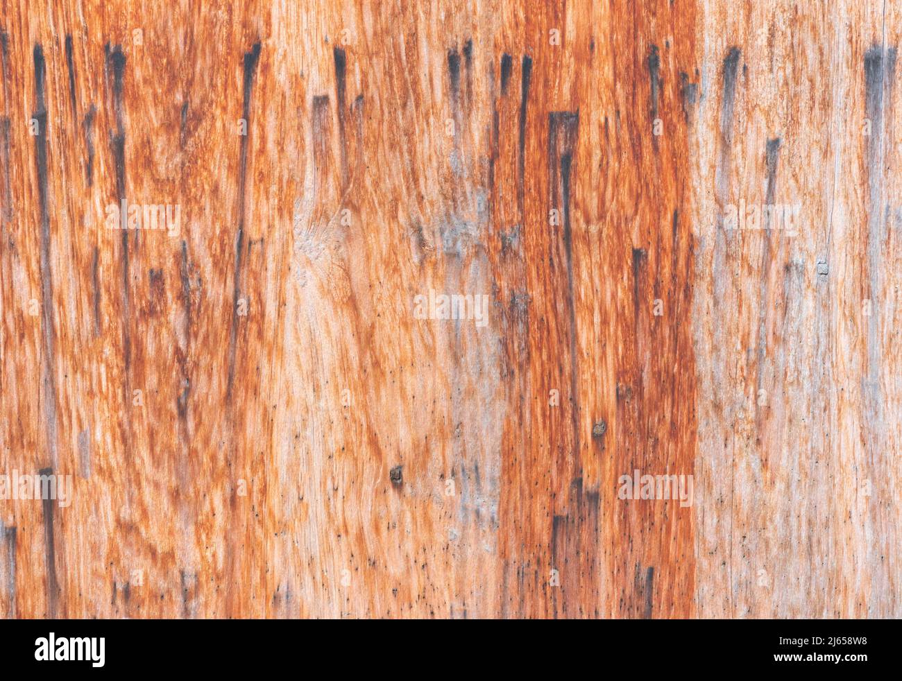 legno vecchio marrone texture sfondo Foto Stock