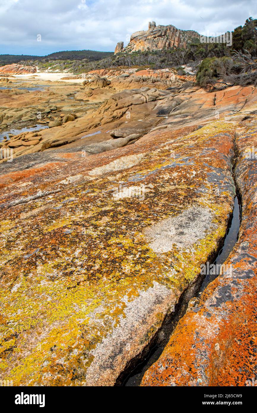 La costa al molo, Flinders Island Foto Stock