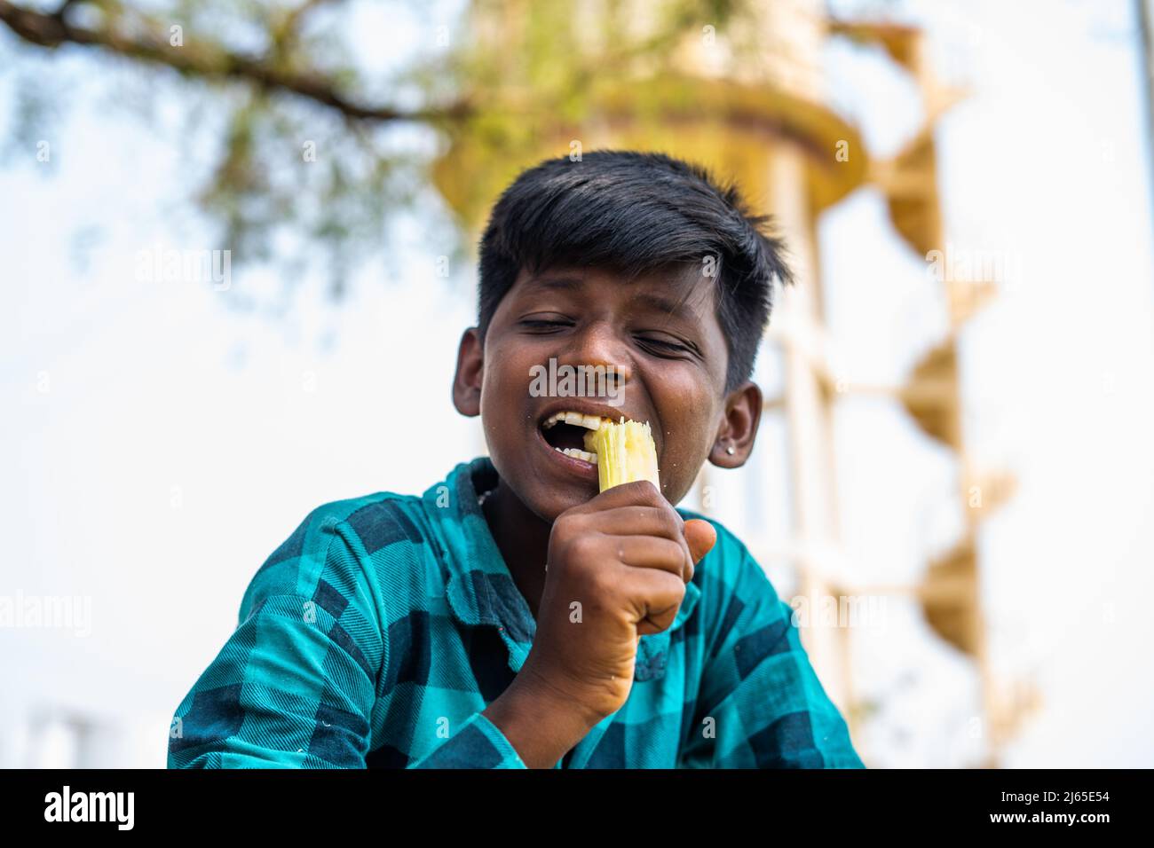 Villaggio bambino teenger mangiare la canna da zucchero in terra coltivata - concetto di stili di vita infantile, la sanità e la povertà. Foto Stock