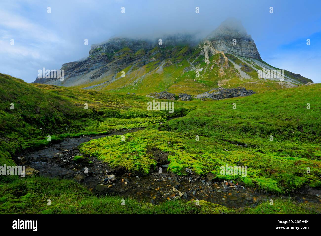 Verde paesaggio estivo, collina rocciosa nelle nuvole, natura da Svalbard, Norvegia. Foto Stock