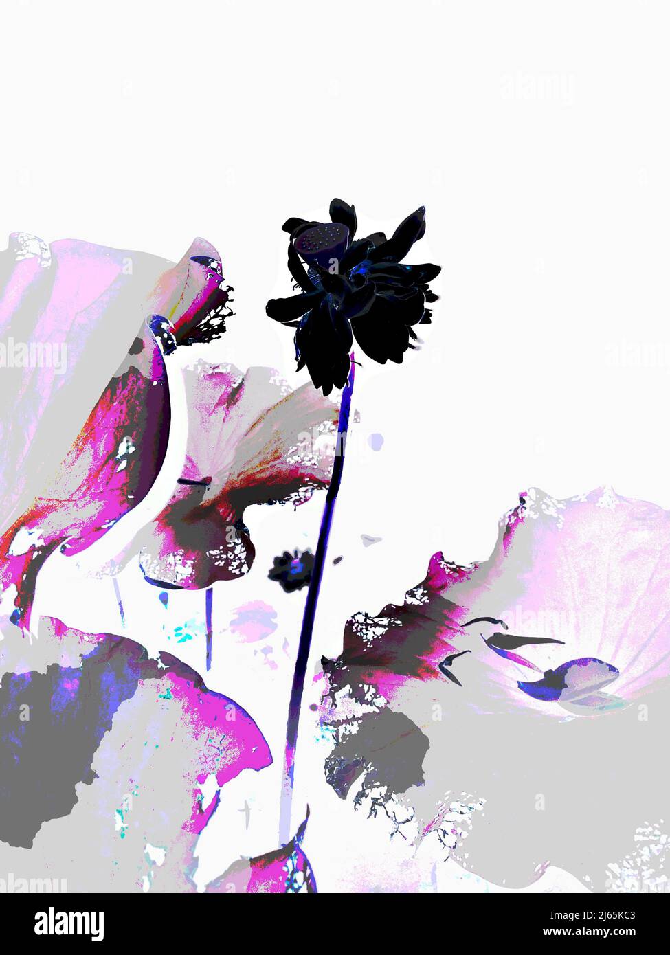 Illustrazione dell'implementazione del computer Foto Stock