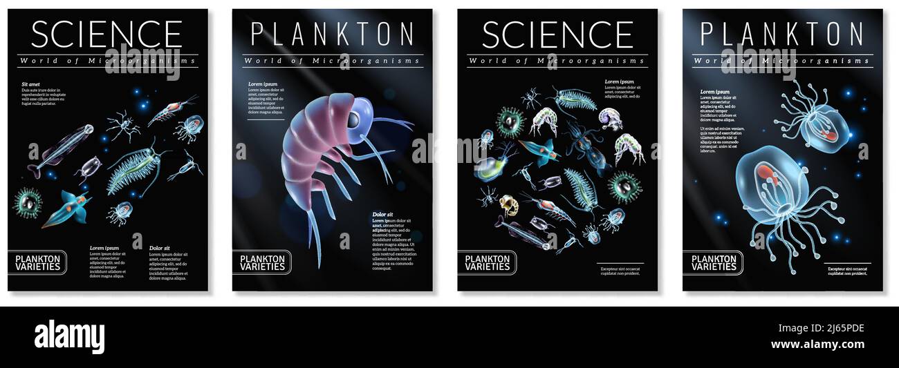 Set di quattro poster sul tema delle varietà plancton AS modello per articoli di rivista opuscoli libro copre illustrazione vettoriale Illustrazione Vettoriale