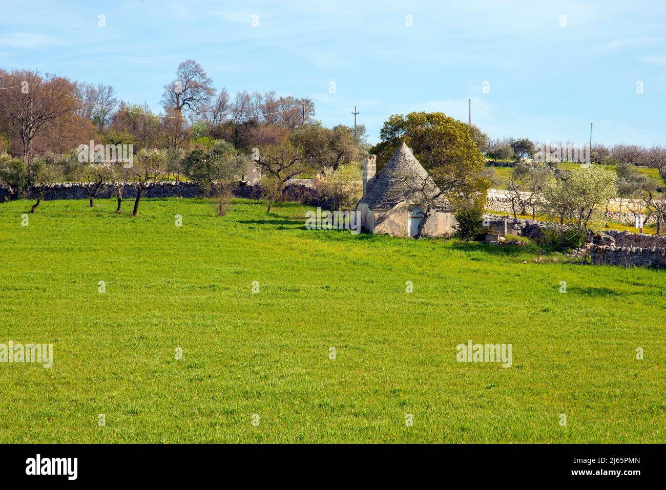 Trulli dimore in Puglia, campagna, ulivo e edificio tradizionale. Salento, Puglia, Italia meridionale. I trulli sono tradizionali capanne a secco in pietra w Foto Stock