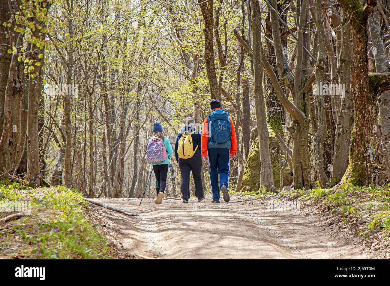 Giovane coppia con una figlia a piedi da sentiero escursionistico nella foresta Foto Stock