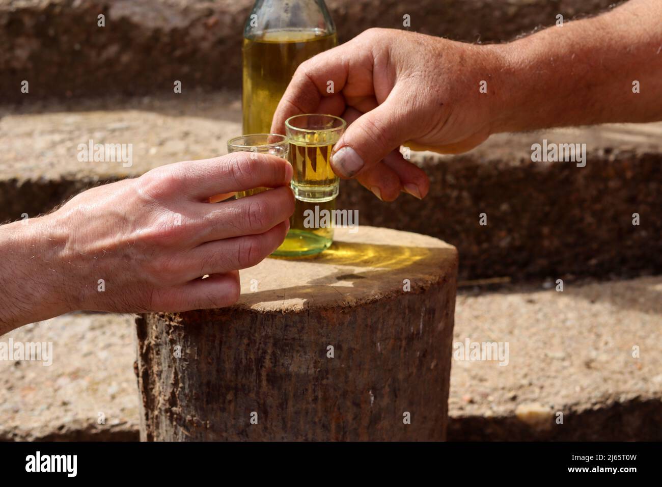 Mans toasting mani con tradizionale serbo bevanda prum brandy rakija slivovitz all'aperto su retro legno di legno in campagna Foto Stock