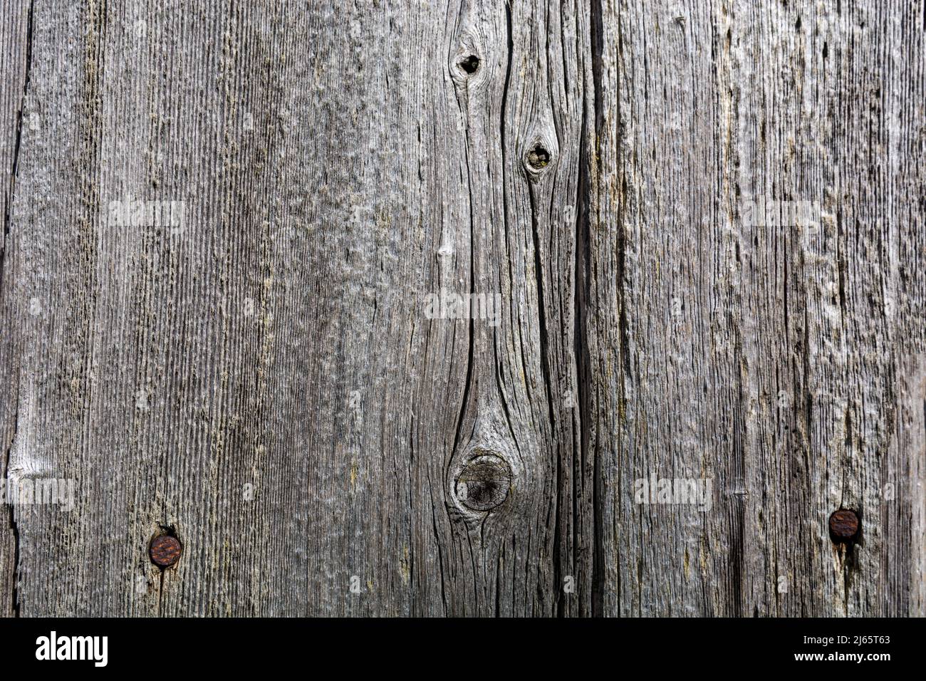 Un vecchio asse di legno con crepe e chiodi. Superficie grigia testurizzata per design o testo Foto Stock