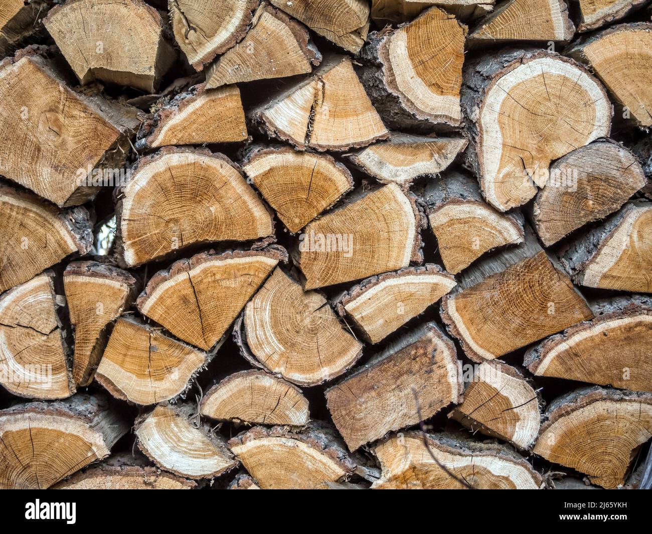 Primo piano di legna da ardere di quercia tagliata e impilata Foto Stock