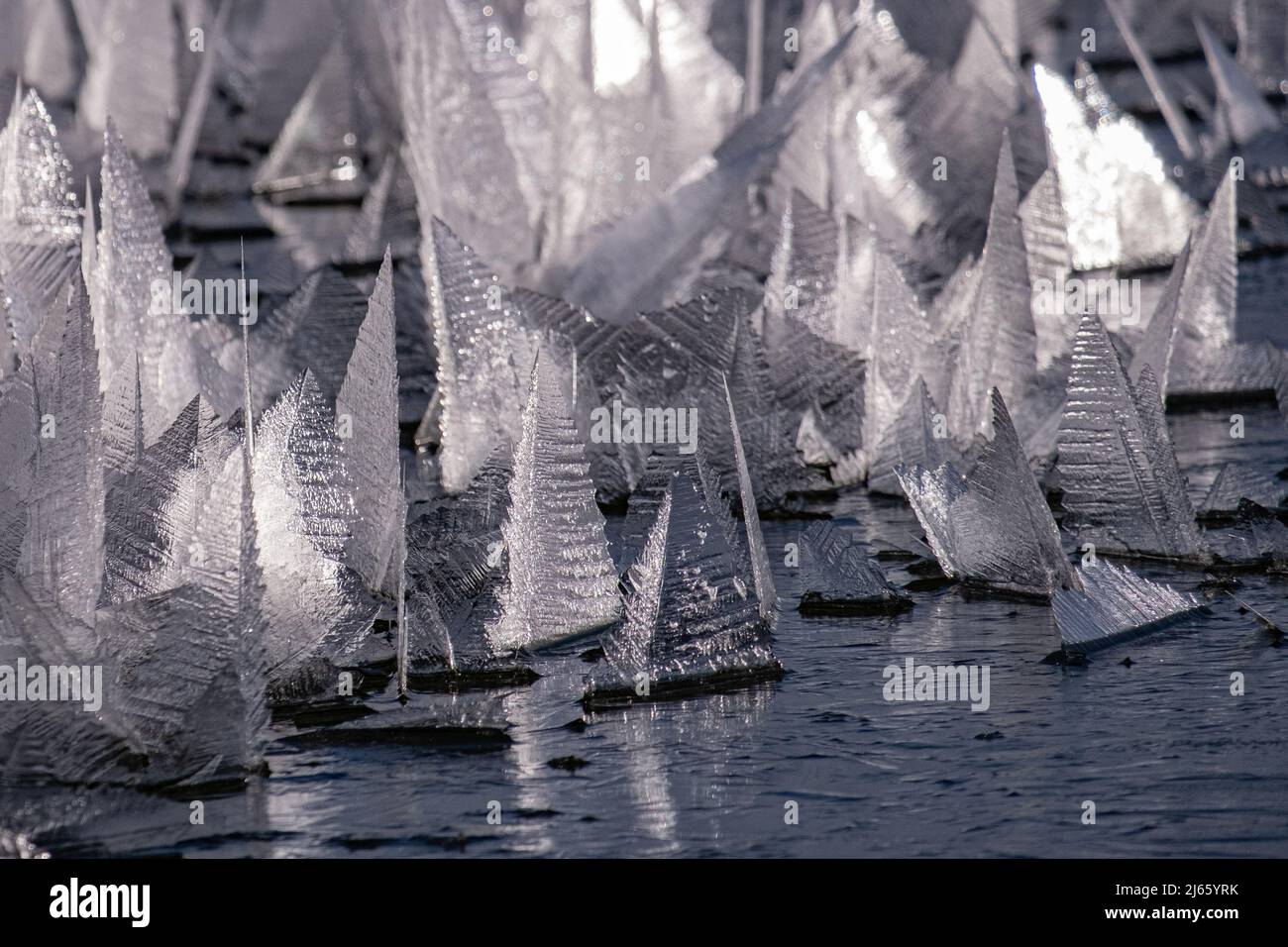 Bizzarre Eiskristalle auf einem kleinen See im isländischen Hochland Foto Stock