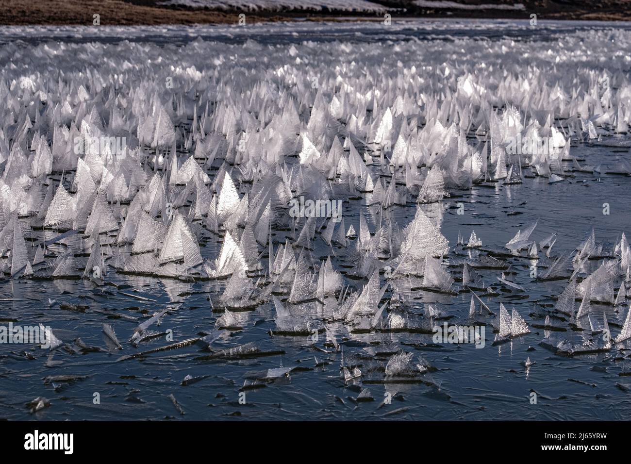 Bizzarre Eiskristalle auf einem kleinen See im isländischen Hochland Foto Stock