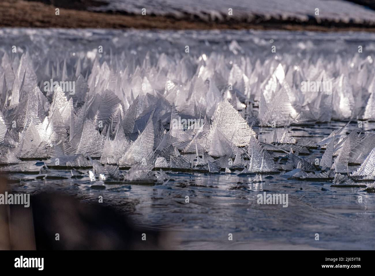 Bizzarre Eiskristalle auf einem kleinen See im isländischen Hochland Foto Stock