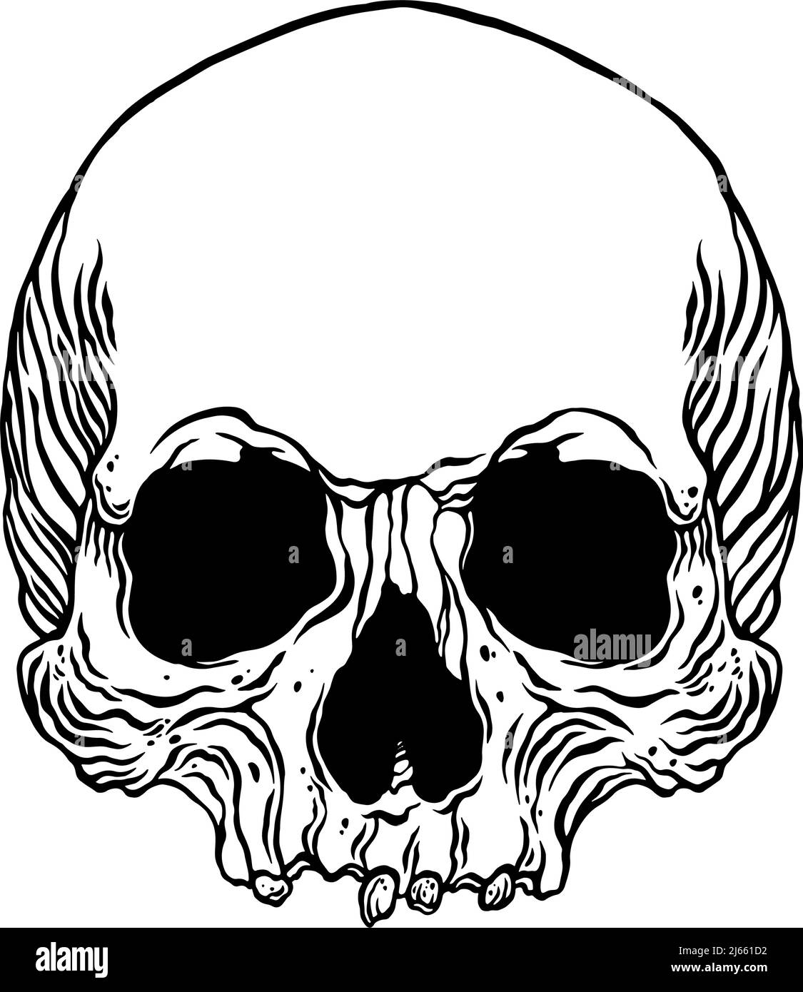 Cranio umano anatomico. Illustrazione disegnata a mano con vettore Illustrazione Vettoriale