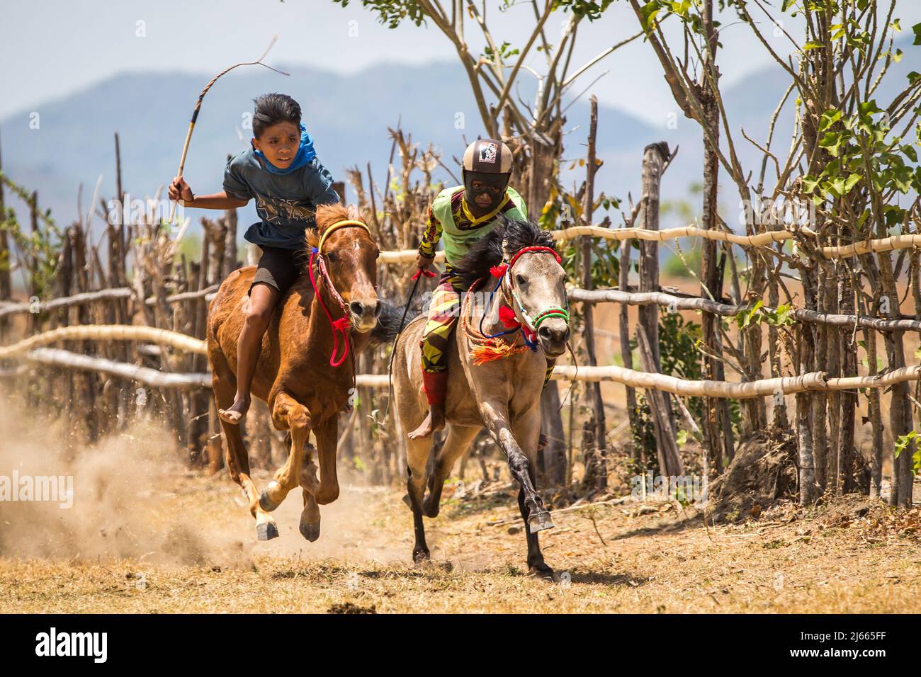 Sumbawa Besar, Indonesia - 16 settembre 2017: Corse di cavalli a Sumbawa Besar, Indonesia. Foto Stock
