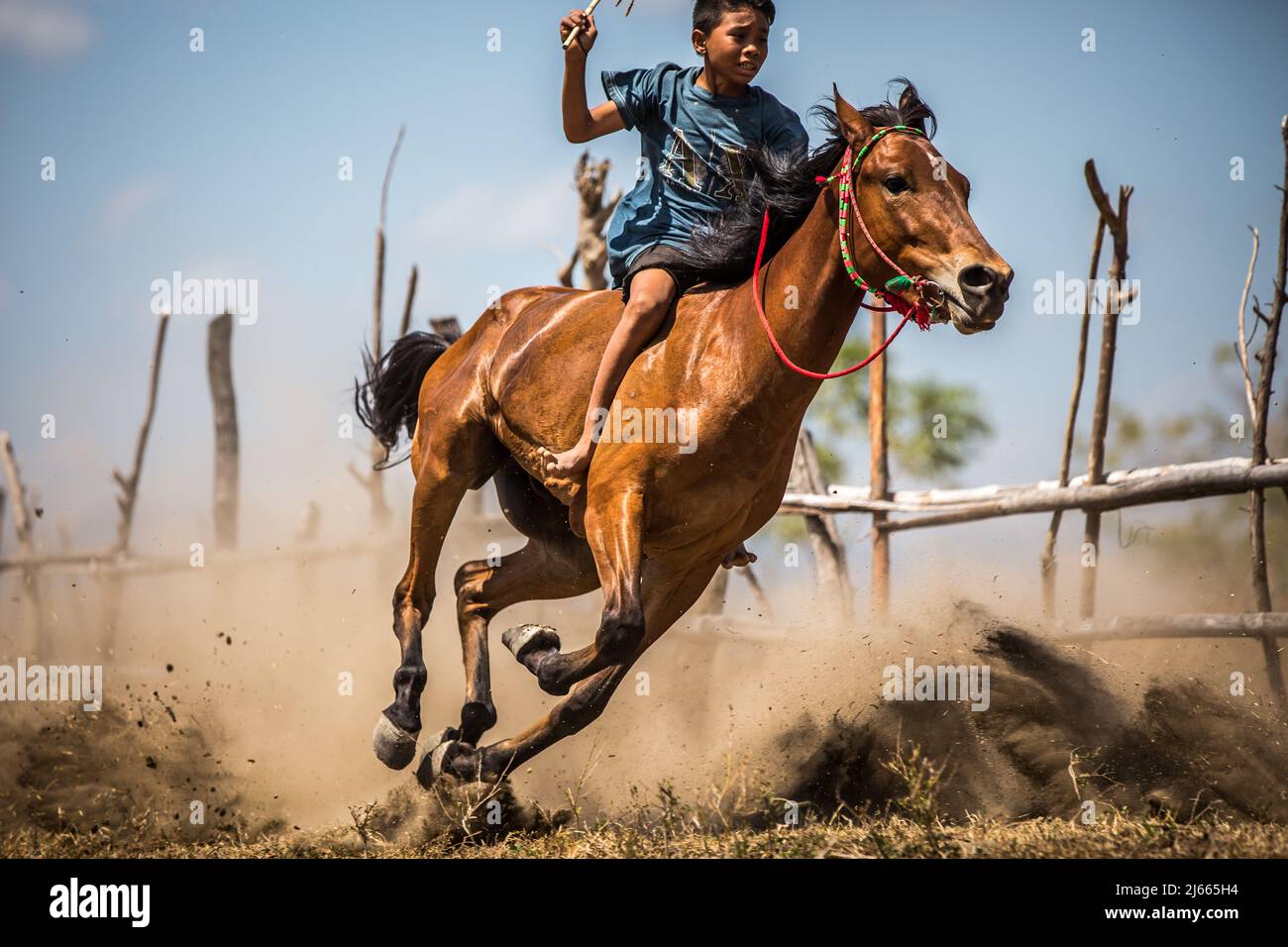Sumbawa Besar, Indonesia - 16 settembre 2017: Corse di cavalli a Sumbawa Besar, Indonesia. Foto Stock