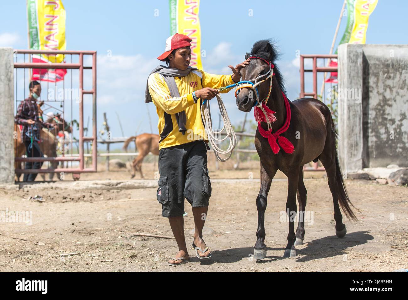 Sumbawa Besar, Indonesia - 16 settembre 2017: Corse di cavalli a Sumbawa Besar, Indonesia. Foto Stock