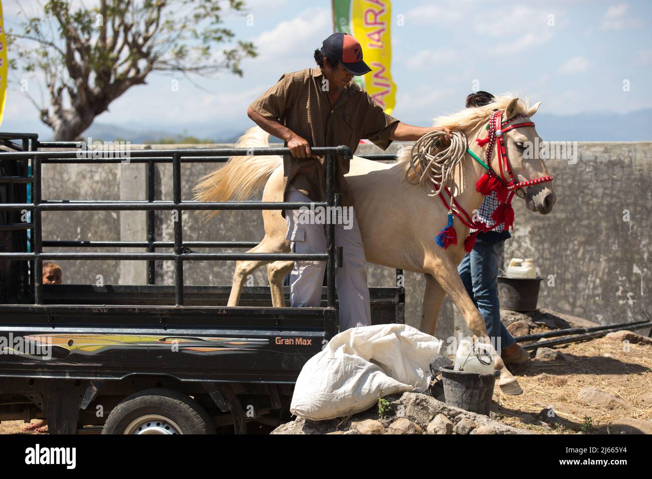 Sumbawa Besar, Indonesia - 16 settembre 2017: Corse di cavalli a Sumbawa Besar, Indonesia. Foto Stock