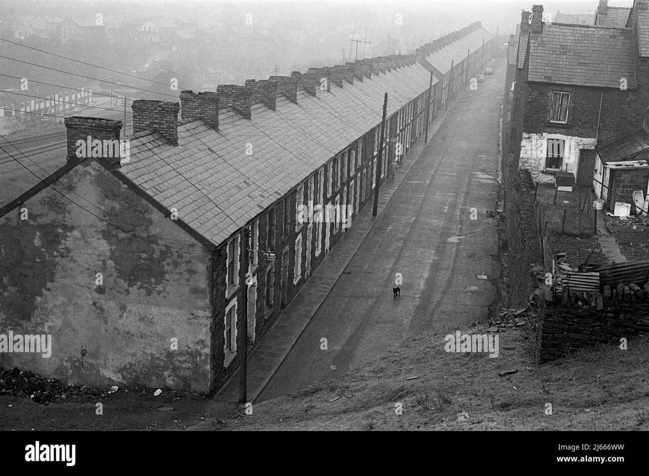 Una strada vuota in una città di estrazione del carbone gallese - Railway Terrace, New Tredegar, 1977 Foto Stock