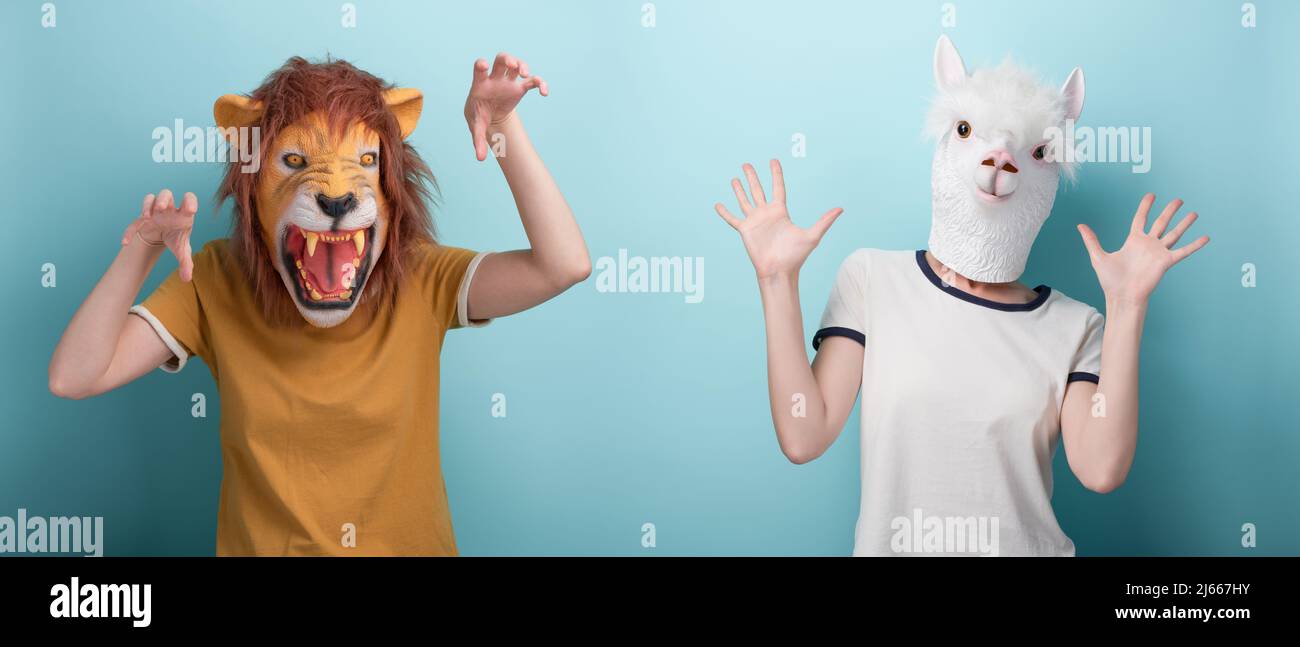 Giovane donna in maschera leone facendo paura attacchi gesti con le mani, e altri in maschera alpaca mostrando palme aperte, stop o difesa gesto, isolato su bl Foto Stock