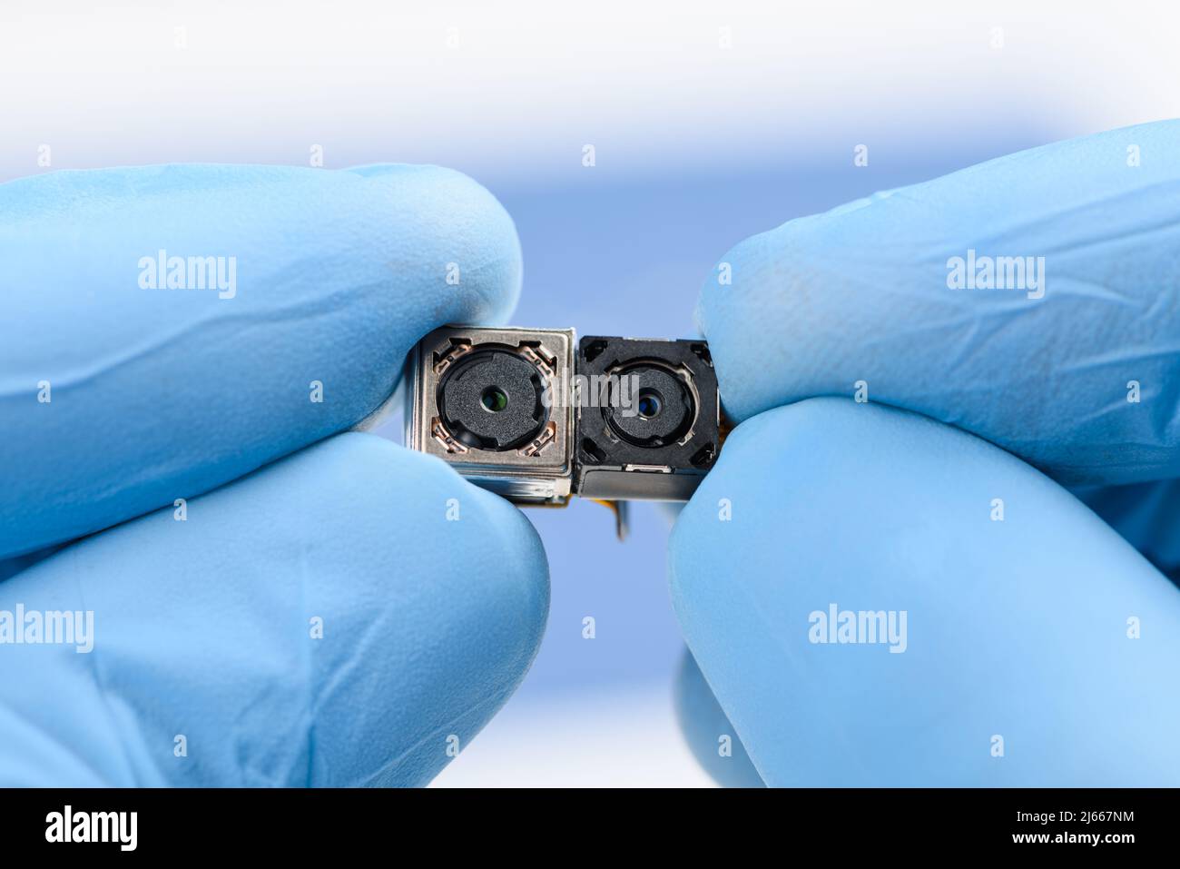 Due piccoli moduli telecamera nelle mani dello scienziato. Tecnologia dei sensori per smartphone o concetto di riparazione. Foto Stock