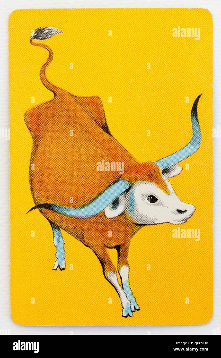 Trail Drive Playing Card - bestiame Longhorn Foto Stock