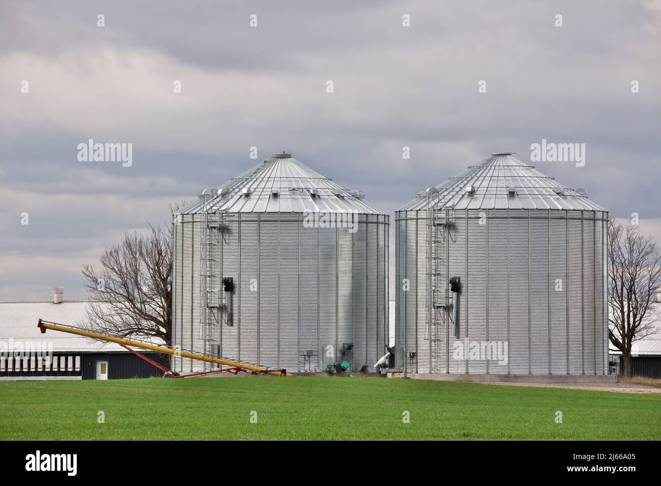 Silos per immagazzinare raccolto di grano. Concetto di agricoltura e industria Foto Stock