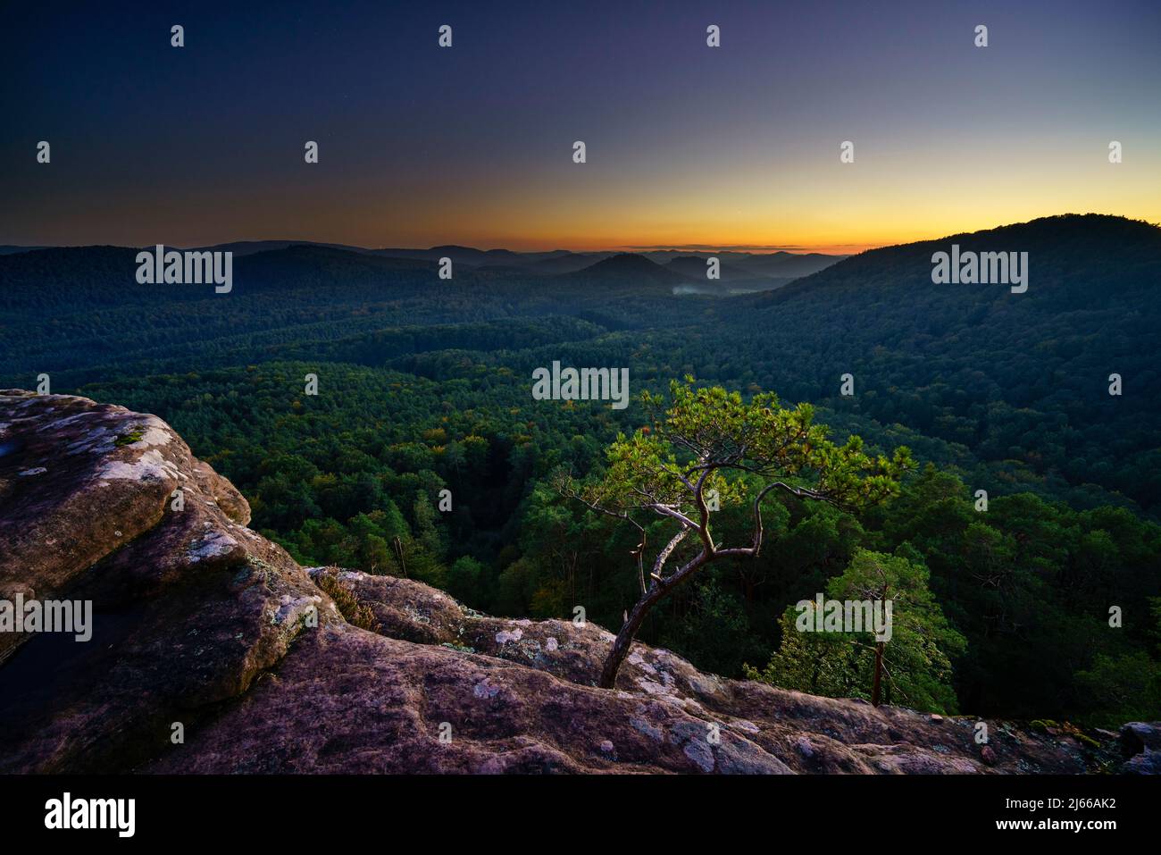 Pfaelzer Wald, Abenddaemmerung, Roetzenfels, Pfalz, Rheinland-Pfalz, Germania Foto Stock