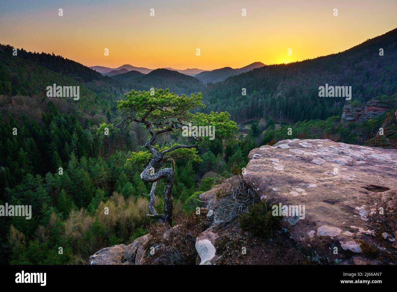 Pfaelzer Wald, Sonnenuntergang, Dahner Felsenland, Pfalz, Rheinland-Pfalz, Germania Foto Stock