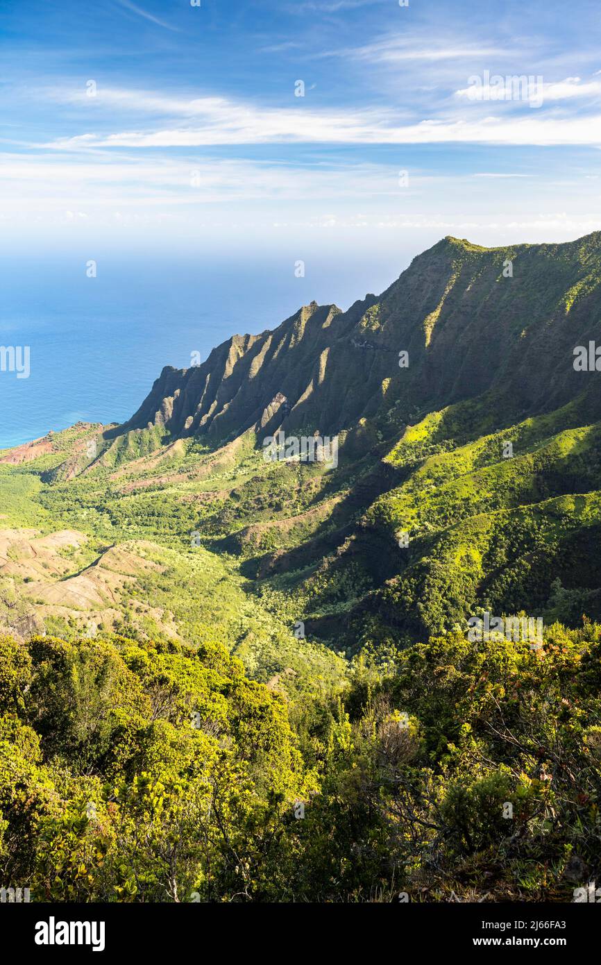 Blick vom Kalalau Lookout in Kalalau Valley, Kokee state Park, Napali Kueste, Kauai, Hawaii, USA Foto Stock