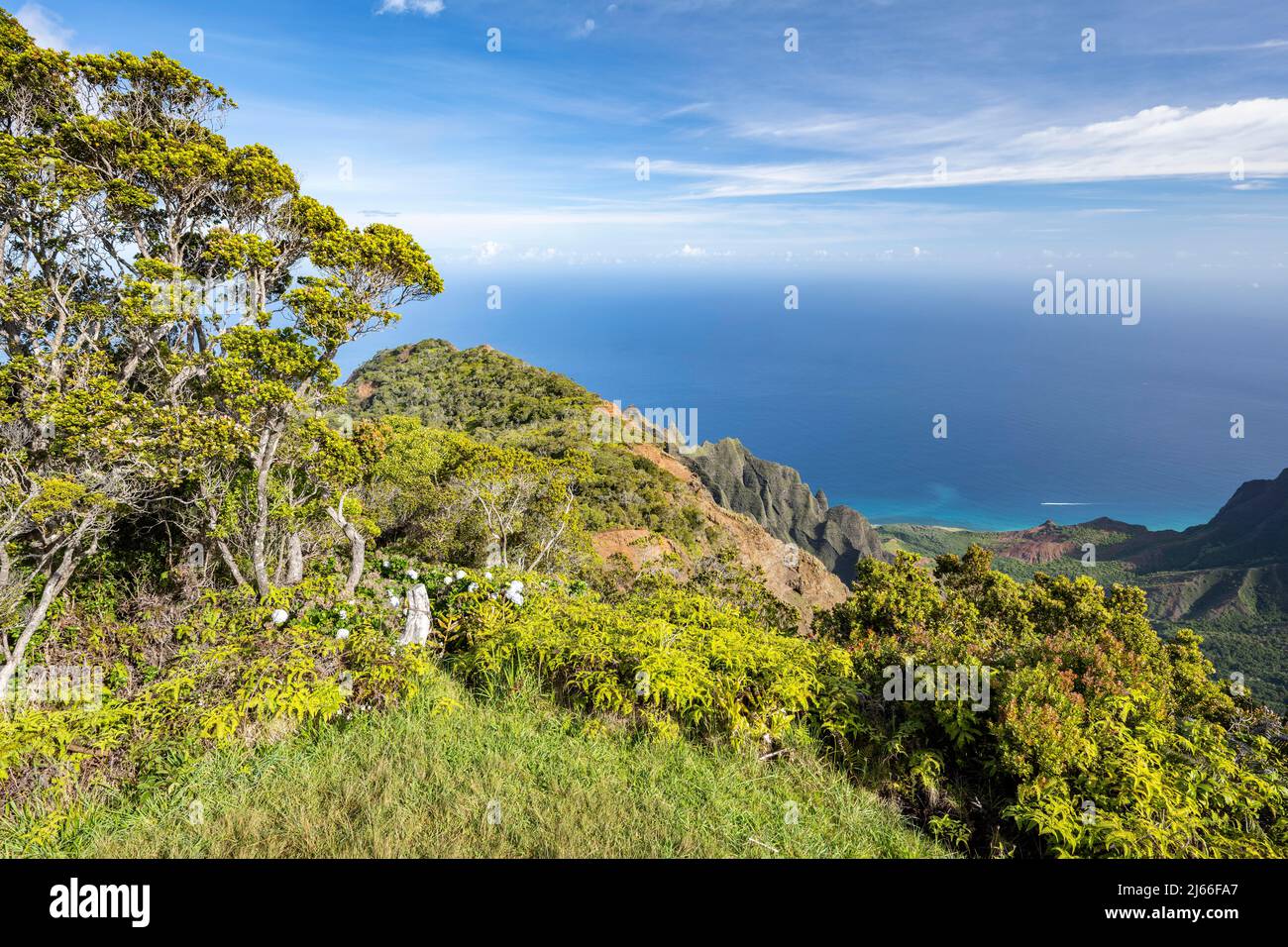 Blick vom Kalalau Lookout in Kalalau Valley, Kokee state Park, Napali Kueste, Kauai, Hawaii, USA Foto Stock