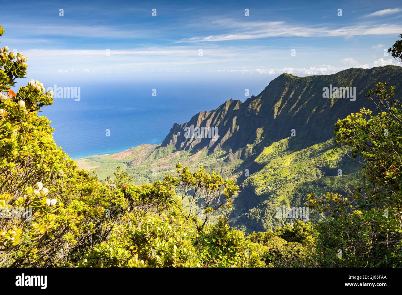 Blick vom Kalalau Lookout in Kalalau Valley, Kokee state Park, Napali Kueste, Kauai, Hawaii, USA Foto Stock