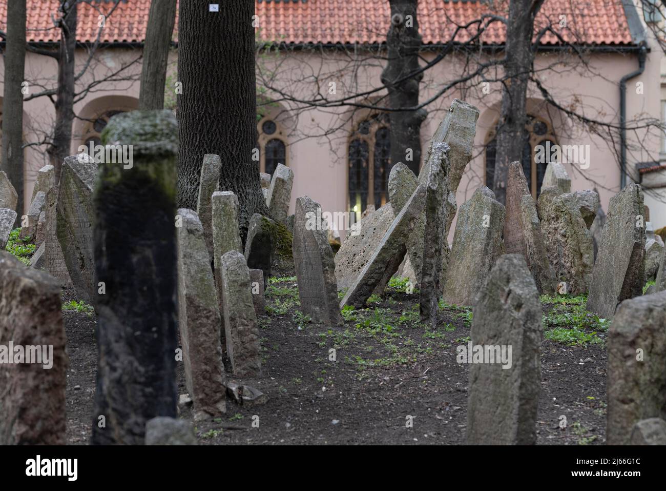 Grabsteine, Alter Juedischer Friedhof, Juedisches Museum, Josefstadt, Juedisches Viertel, Prag, Boehmen, Tschechien Foto Stock